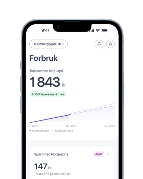 Forbruk i Vibb-appen